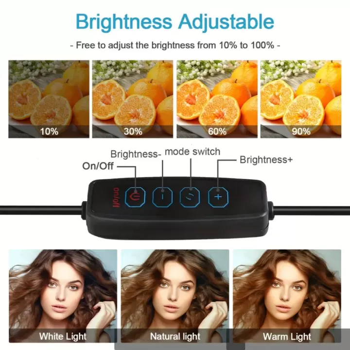 💡 إضاءة البث المباشر – سر الإطلالة المثالية لكل محتوى 6